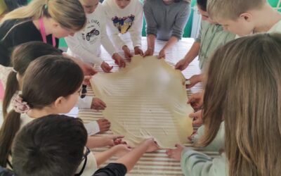 B1 aktivnost – Domaćinstvo