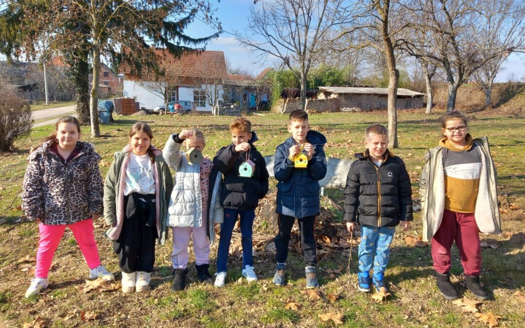 Pomažemo pticama zimi