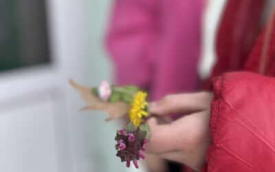 Mjesec „Pomažem prirodi“ – Mala škola pomaganja u akciji